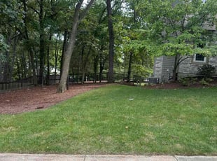 Nicole R.'s grass maintenance service result
