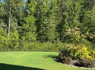 Vinay B.'s turf maintenance service result