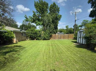 Sunshine C.'s turf maintenance service result