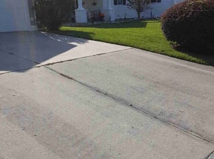 Larry v.'s lawn maintenance service result