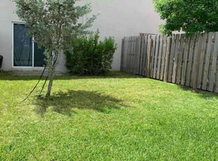Dana D.'s grass maintenance service result