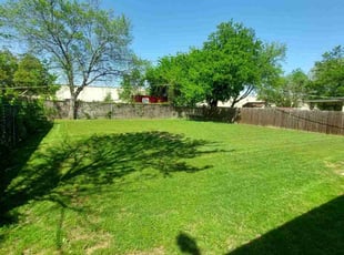 David Y.'s turf care service result