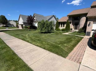 Jezail J.'s lawn maintenance service result