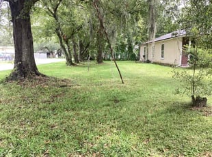 Mary P.'s turf care service result