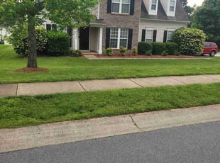 Molly M.'s lawn care services service result