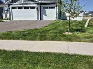 Karissa J.'s turf care service result