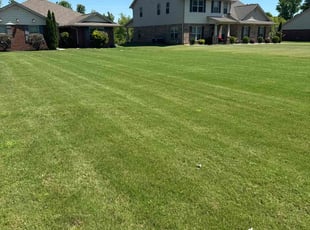Jacqueline E.'s lawn care service result