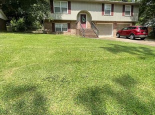Elax H.'s yard care service result