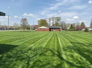 Tyler G.'s Long Grass Cleanup service result