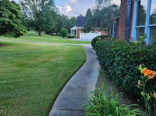 Sarah F.'s lawn service service result