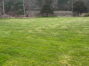 April C.'s lawn maintenance service result