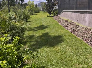 Scott P.'s residential landscaping service result