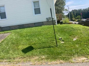 Fitzgerald B.'s lawn maintenance service result