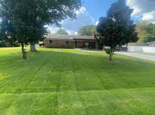 Dawn A.'s lawn service service result