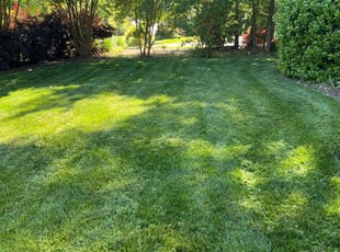Jennifer L.'s turf care service result