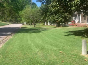 Terry P.'s lawn care service result