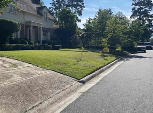 Jamie S.'s grass cutting service result