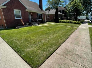 Ryan C.'s lawn care services service result