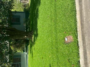 Terence H.'s turf care service result