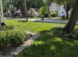 Jeffrey A.'s lawn care service result