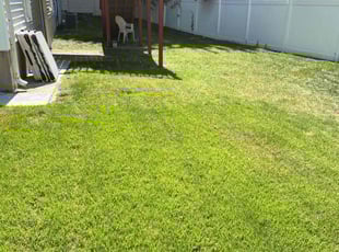 Larry S.'s grass maintenance service result