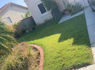 Stanley P.'s lawn service service result