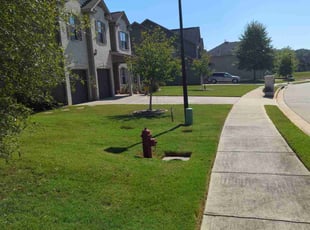 Harold W.'s turf maintenance service result