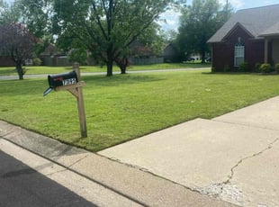Edward B.'s grass cutting service result