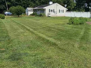 James E.'s turf maintenance service result