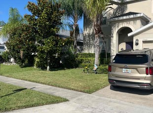 Alexandrea N.'s lawn maintenance service result