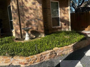 Britt A.'s Bush Trimming service result