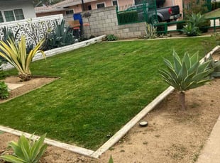 Zechariah B.'s grass cutting service result
