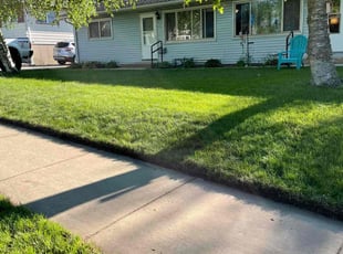 Shannon H.'s grass cutting service result