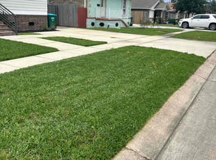 Wayne C.'s lawn maintenance service result
