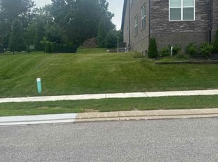 Jordan D.'s lawn care service result