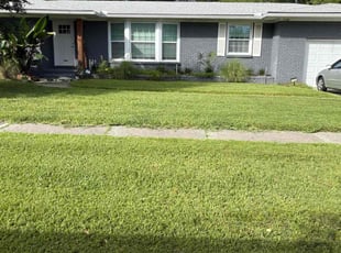 Traneice Q.'s lawn care services service result