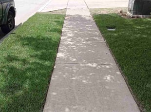 Gwen F.'s lawn maintenance service result