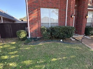 Dakari R.'s Bush Trimming service result