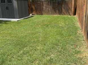 Randolph P.'s lawn service service result