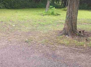 Robert C.'s turf care service result