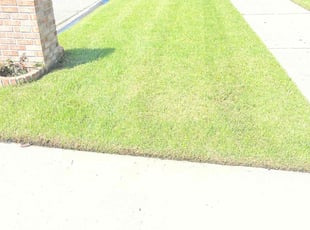 Leslie W.'s turf maintenance service result