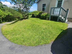 Marian D.'s turf maintenance service result