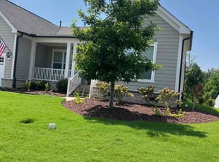 Alfonso M.'s lawn care services service result