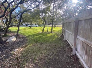 Anil G.'s Leaf Removal service result