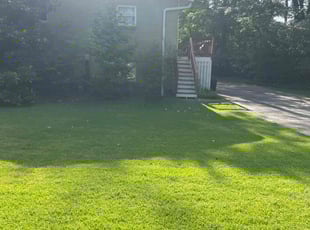 Larry W.'s grass maintenance service result