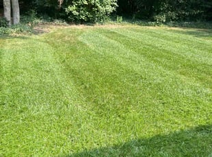 Cheol-Min Y.'s lawn care services service result