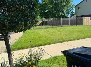 Harlan M.'s turf care service result