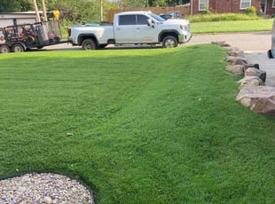William H.'s lawn service service result