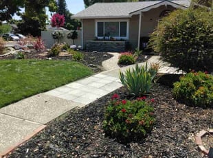 Daryl L.'s grass cutting service result