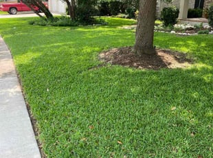 Connie K.'s lawn care service result